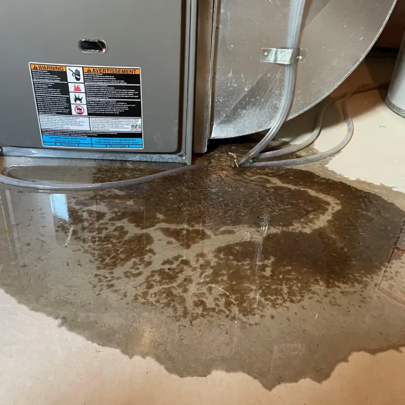 Appliance Leak Cleanup in Burnham, IL