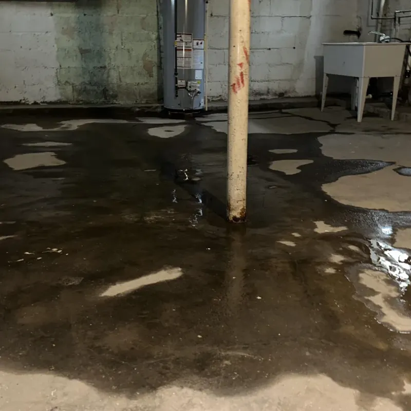 Emergency Water Extraction And Removal in Burnham, IL